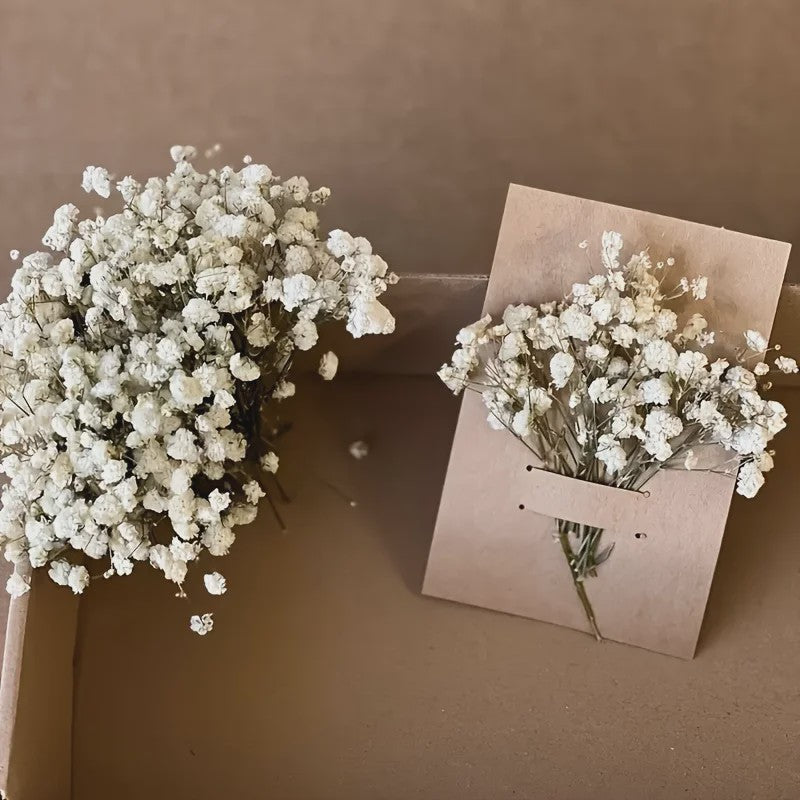 110 Stuks Gedroogde Baby's Breath (Gypsophila) - Boho Decoratie & Knutselmateriaal
