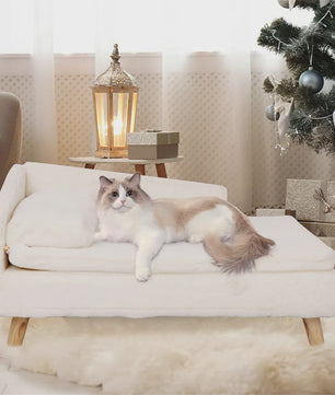 Luxe Verhoogd Hondensofa Bed met Rugleuning & Pluche Kussen - Stijlvolle Lounger voor Kleine/Middelgrote Honden & Katten