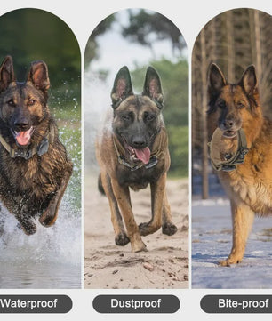 Tactische AirTag Hondenhalsband - Waterdicht, Duurzaam & Verstelbaar voor Middelgrote tot Grote Honden