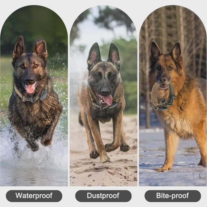 Tactische AirTag Hondenhalsband - Waterdicht, Duurzaam & Verstelbaar voor Middelgrote tot Grote Honden