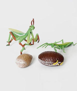 Realistische Insecten Model Figuren: Bidsprinkhaan, Bladwesp & Meer - Educatief Speelgoed & Decoratie