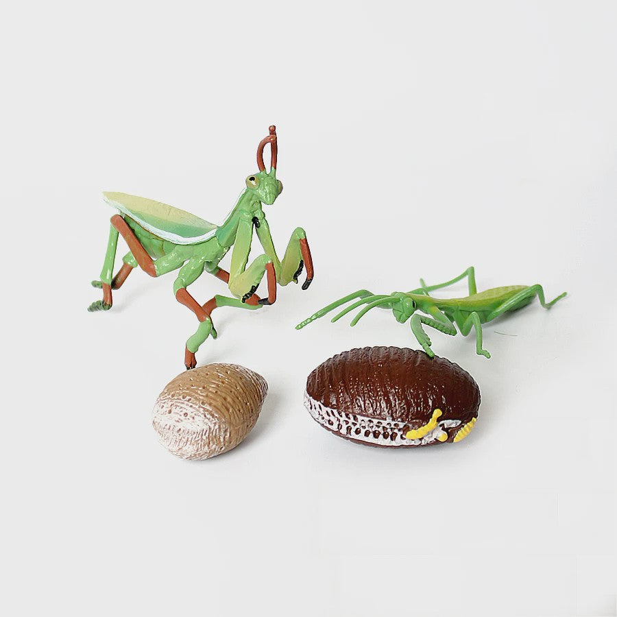 Realistische Insecten Model Figuren: Bidsprinkhaan, Bladwesp & Meer - Educatief Speelgoed & Decoratie