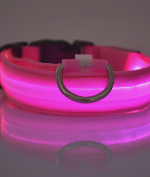 LED Hondenhalsband - Oplaadbaar en Verstelbaar voor Maximale Zichtbaarheid in het Donker