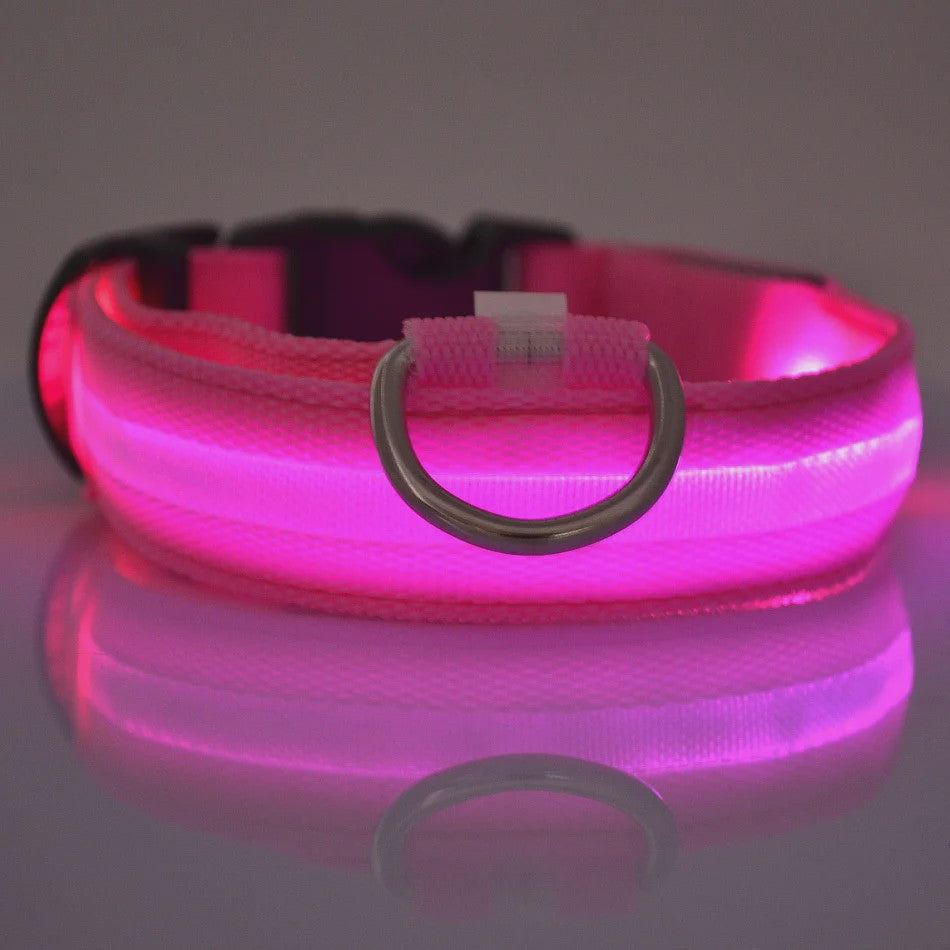 LED Hondenhalsband - Oplaadbaar en Verstelbaar voor Maximale Zichtbaarheid in het Donker