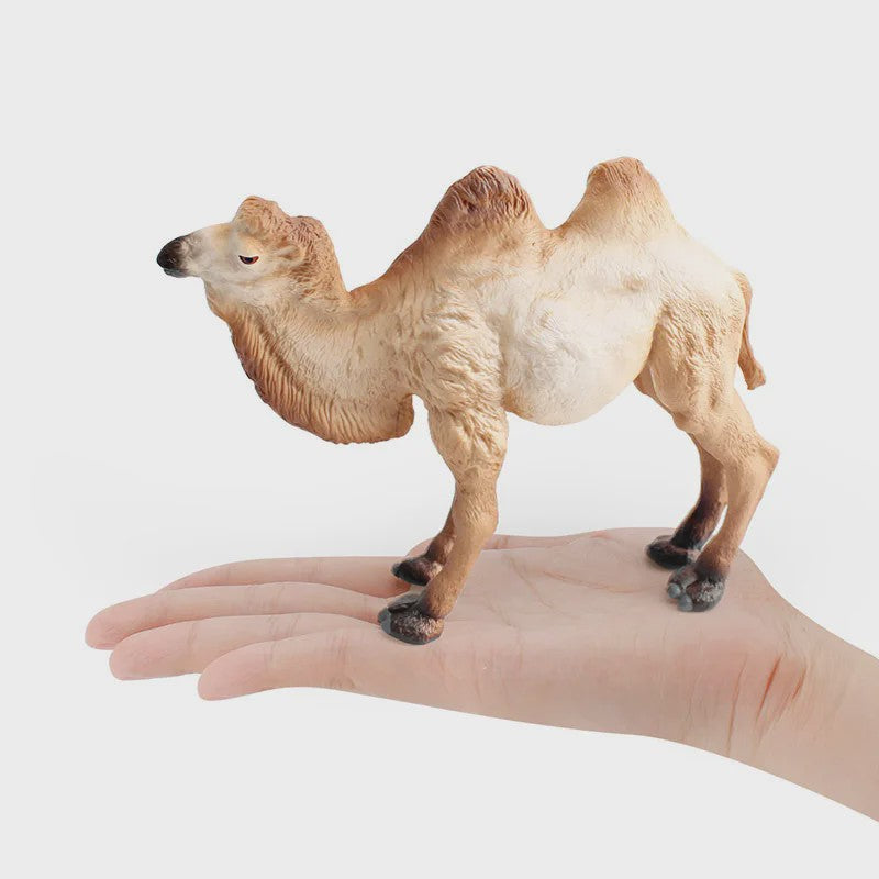 Realistische Dromedaris & Baktriaanse Kameel Figuren - Desktop Ornament