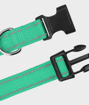 Verstelbare Halsband voor Honden en Puppies met Reflecterende Strepen - Veilig en Comfortabel