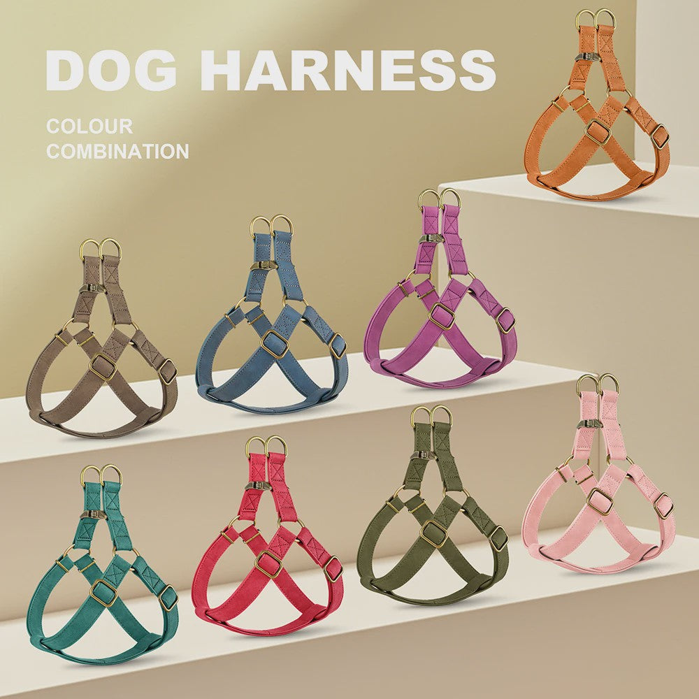 Luxe PU Leder Hondentuig met Leash en Gepersonaliseerde ID Gesp - Duurzaam voor Kleine & Middelgrote Honden