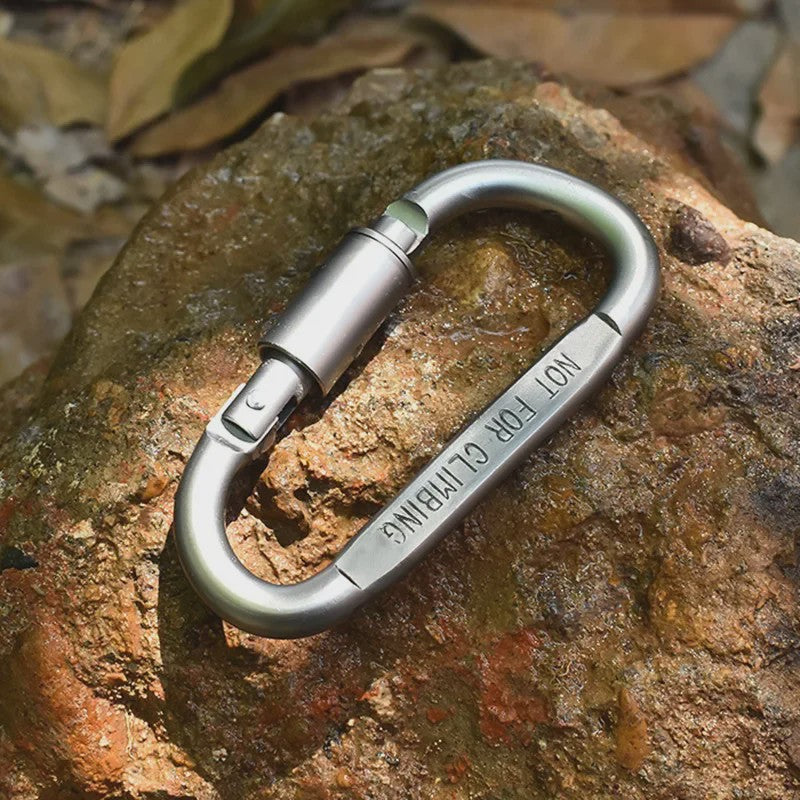 Set van 4-6 Aluminium Karabiners - Veelzijdige Clips voor Sleutels, Camping en Outdoor