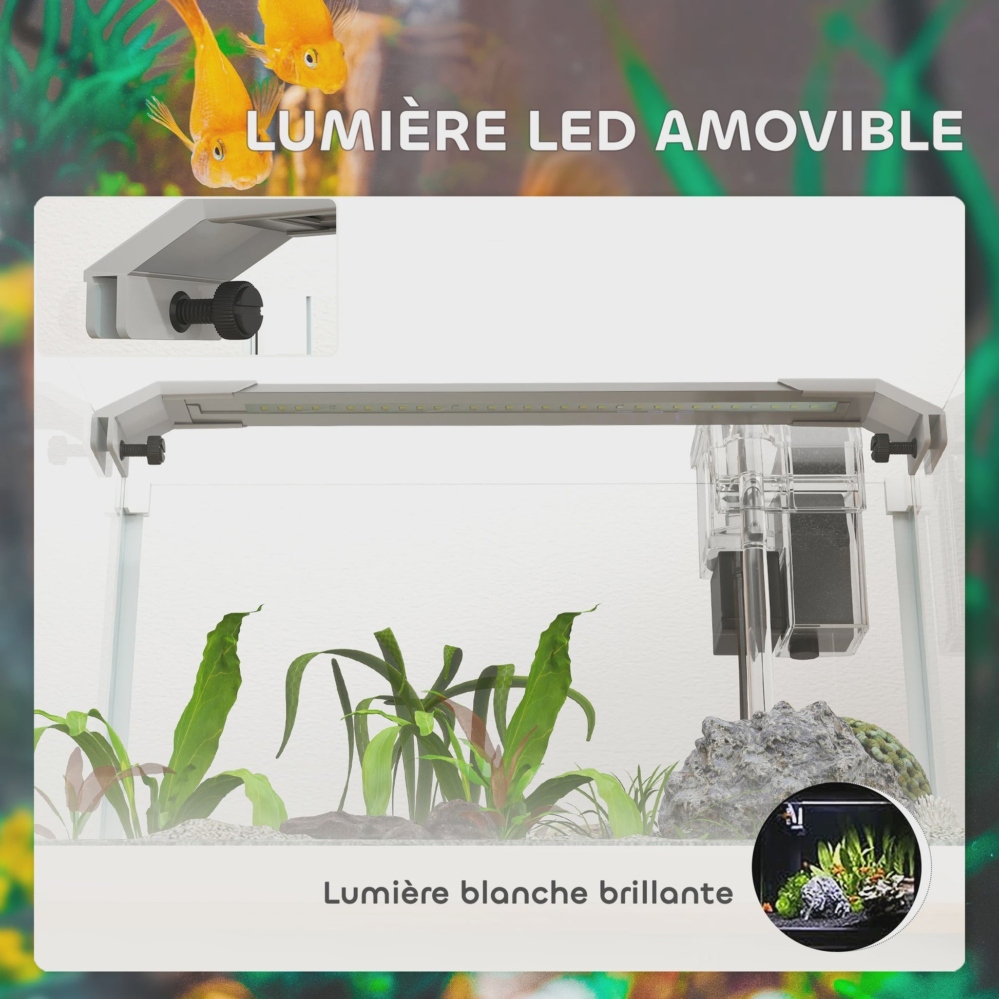 PawHut Glazen Aquarium met LED Verlichting, Filterpomp en 20L Inhoud - 38x26x27 cm Wit