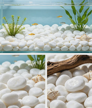 Witte Rivierstenen 2-3cm (250/600g) - Gladde Decoratieve Kiezels voor Aquarium, Terrarium & Planten