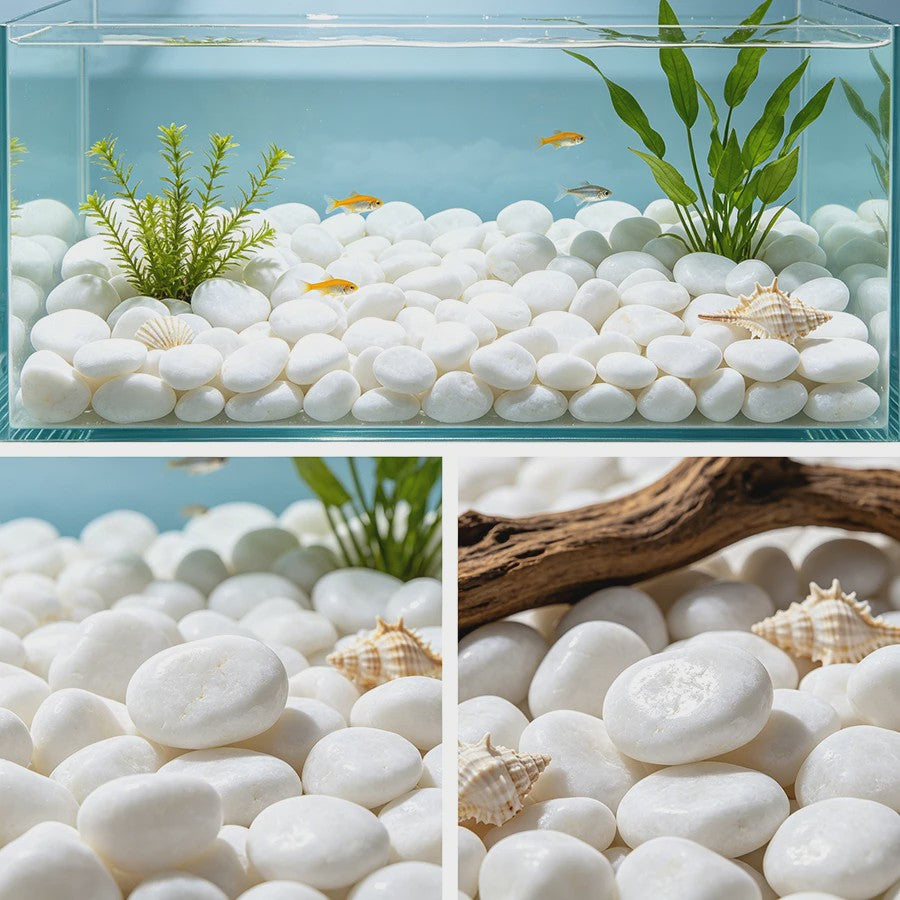 Witte Rivierstenen 2-3cm (250/600g) - Gladde Decoratieve Kiezels voor Aquarium, Terrarium & Planten