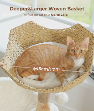 Luxe Kattenboom met Natuurlijk Hout, Wicker Mand & Krabpalen - Comfortabel Kattenhuis