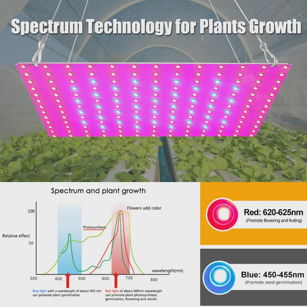 Krachtige LED Plantengroeilamp Full Spectrum 81/169 LEDs voor Hydroponics