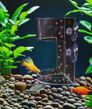 Drijvende Voerring Aquarium met Zuignap - Houd Water Schoon