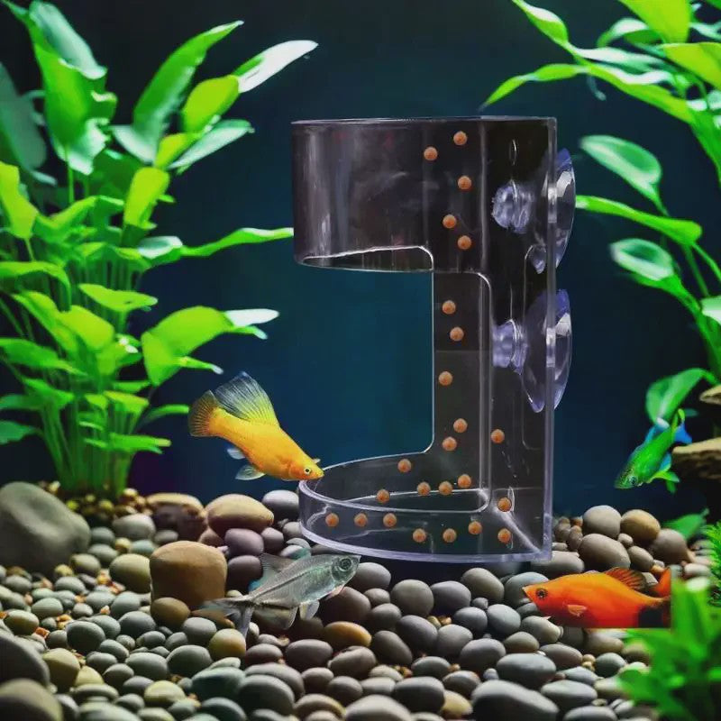 Drijvende Voerring Aquarium met Zuignap - Houd Water Schoon