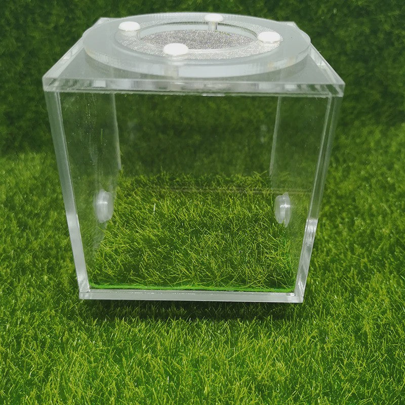 Vierkante Mierenboerderij van Acryl - Unieke Activiteitruimte 7x7x7cm
