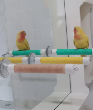Zuignap Vogel Zitstok voor Ramen & Spiegels - Draagbaar Speelgoed voor Papegaaien & Parkieten