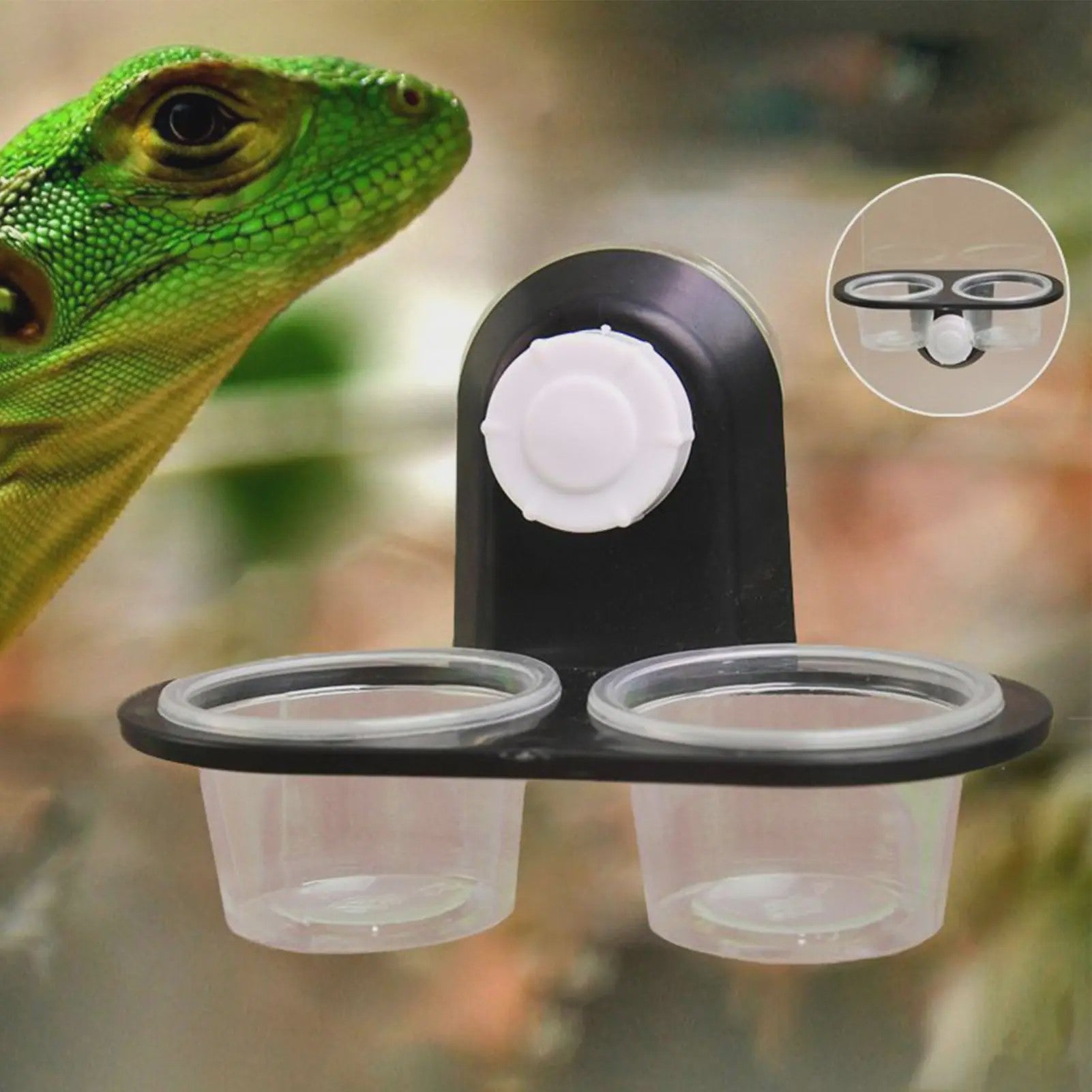 Voer- en Waterbakje met Zuignap voor Reptielen Terrarium