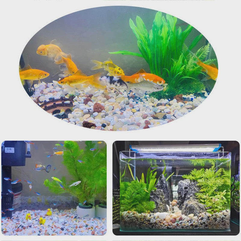 Kleurrijke Decoratieve Grindstenen voor Aquarium, Terrarium & Planten - 500/1000g