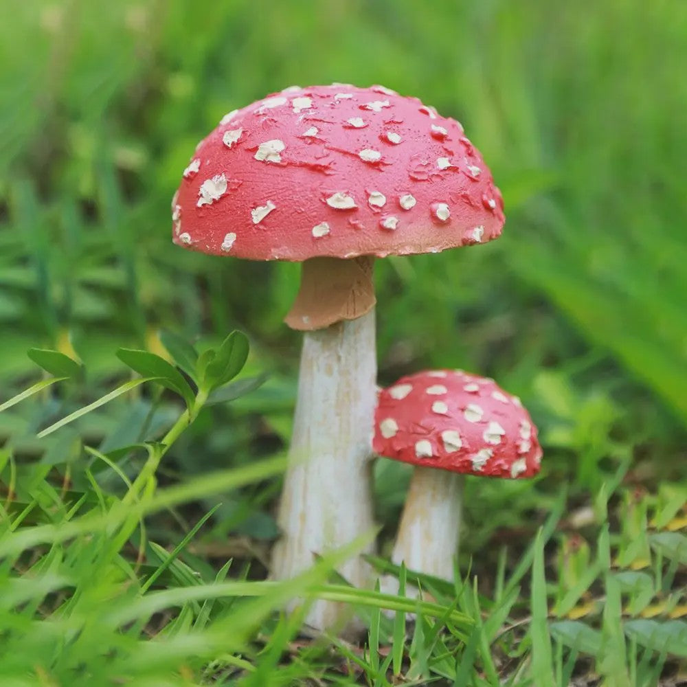 Set van Decoratieve Paddenstoelen Beeldjes - Hars Tuindecoratie Ornamenten