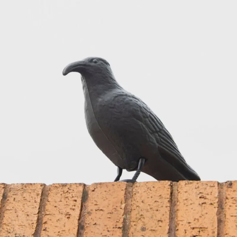Realistische Zwarte Kraai Decoratie & Vogelverschrikker - Tuin & Buiten