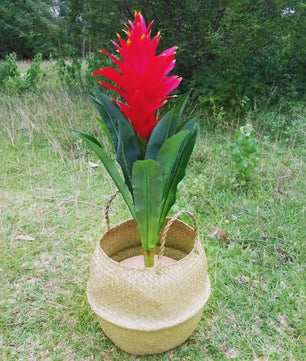 Handgeweven Zeegras Mand met Handvatten - Decoratieve Opbergmand & Plantenpot