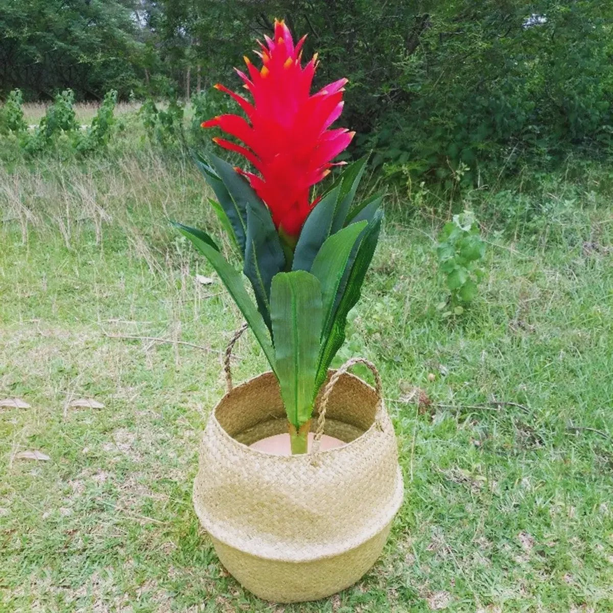 Handgeweven Zeegras Mand met Handvatten - Decoratieve Opbergmand & Plantenpot