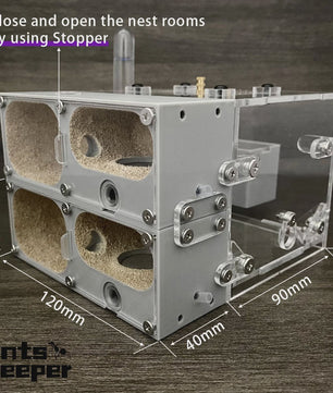 Valley Mierenboerderij Myrmecocystus - Modulair Mierenhuis Nest voor Enthousiaste Ant Keepers