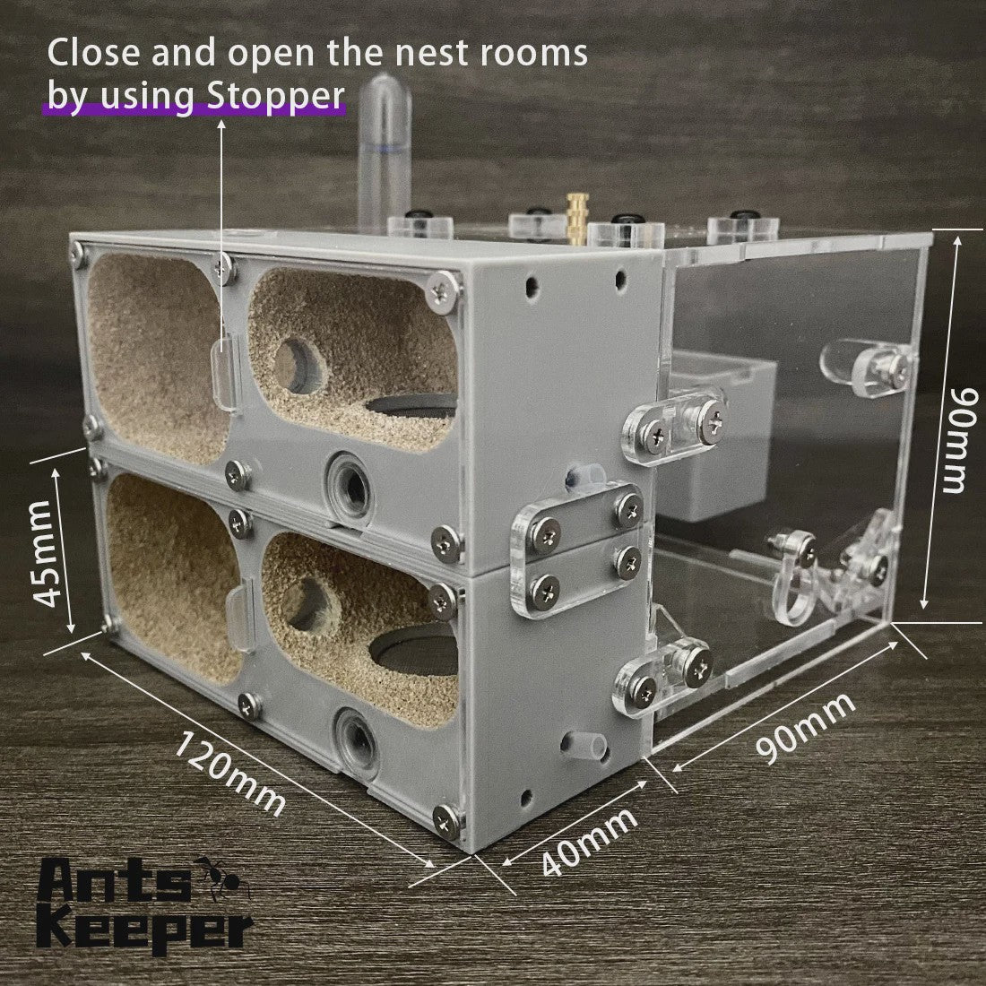 Valley Mierenboerderij Myrmecocystus - Modulair Mierenhuis Nest voor Enthousiaste Ant Keepers