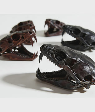 Angstaanjagend Cobra Schedel Standbeeld - Uniek Woondecoratie & Desktop Ornament