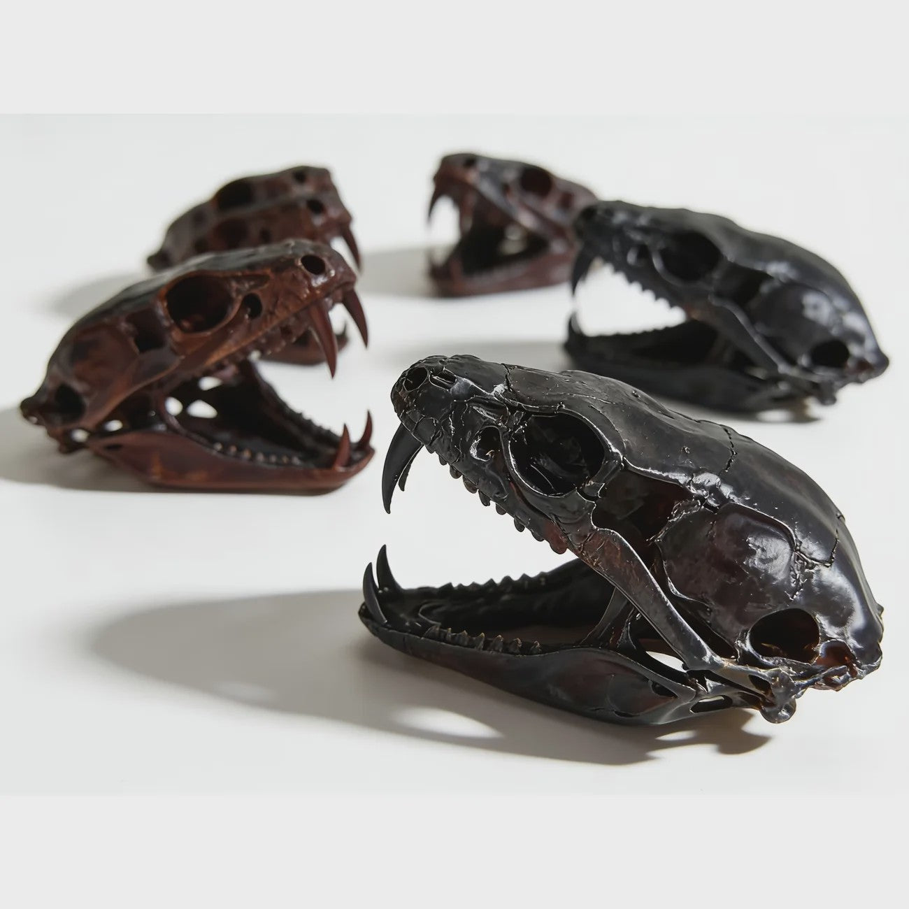 Angstaanjagend Cobra Schedel Standbeeld - Uniek Woondecoratie & Desktop Ornament