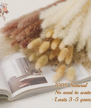 Natuurlijk Pampas Gras Boeket - Gedroogde Bloemen voor Boho Woondecoratie & Bruiloft