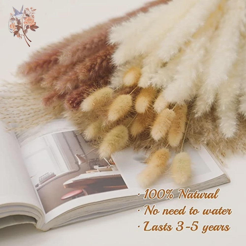 Natuurlijk Pampas Gras Boeket - Gedroogde Bloemen voor Boho Woondecoratie & Bruiloft