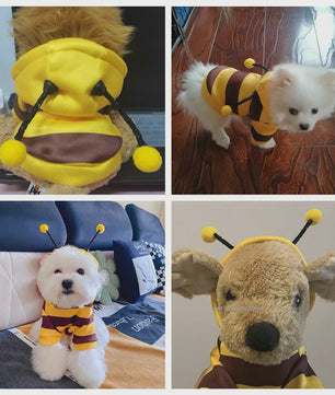 Schattige Bijten Honden & Katten Hoodie - Winter Kleding & Cosplay Outfit
