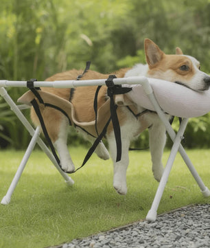 Opvouwbaar Honden & Katten Bad Hammock - Sneldrogend Verzorgingsrek voor Trimmen & Nagels Knippen