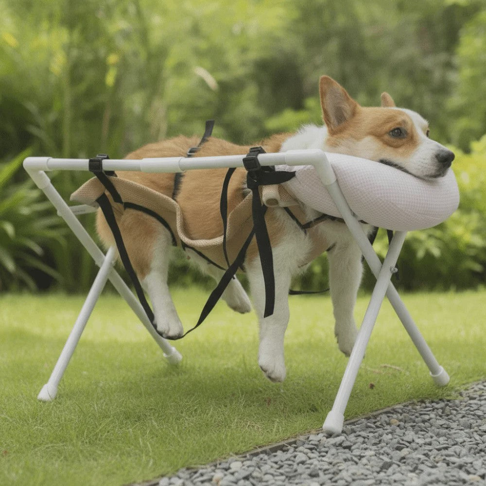 Opvouwbaar Honden & Katten Bad Hammock - Sneldrogend Verzorgingsrek voor Trimmen & Nagels Knippen