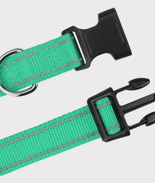 Reflecterende Hondenhalsband - Verstelbaar Nylon, Veilig en Duurzaam