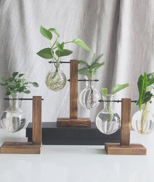 Glazen Vaas met Houten Standaard - Hydroponische Plantenbak voor Bureau & Tafel