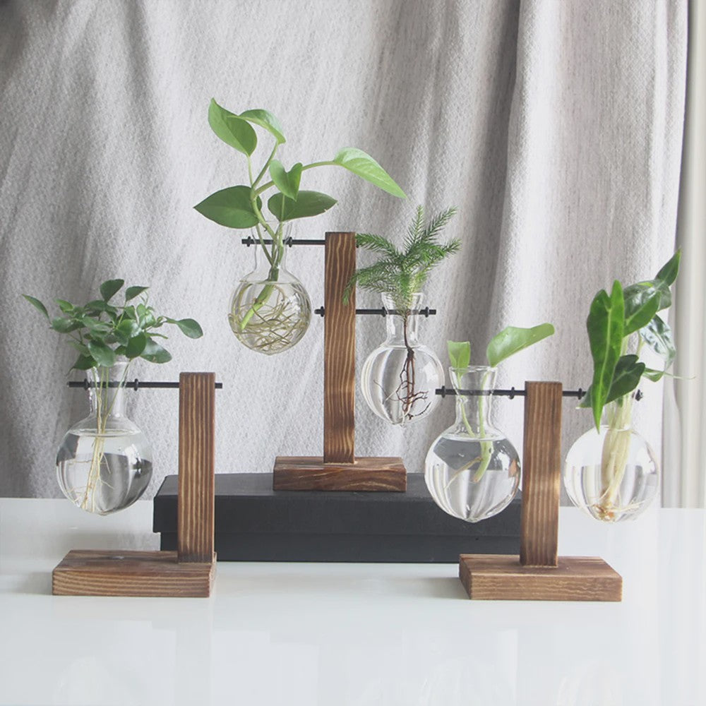 Glazen Vaas met Houten Standaard - Hydroponische Plantenbak voor Bureau & Tafel
