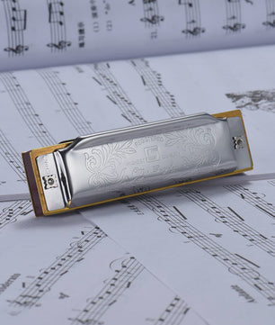 Folkmaster Blues Harmonica - 10 Gaten, 20 Tonen, Diatonisch - Ideaal voor Beginners