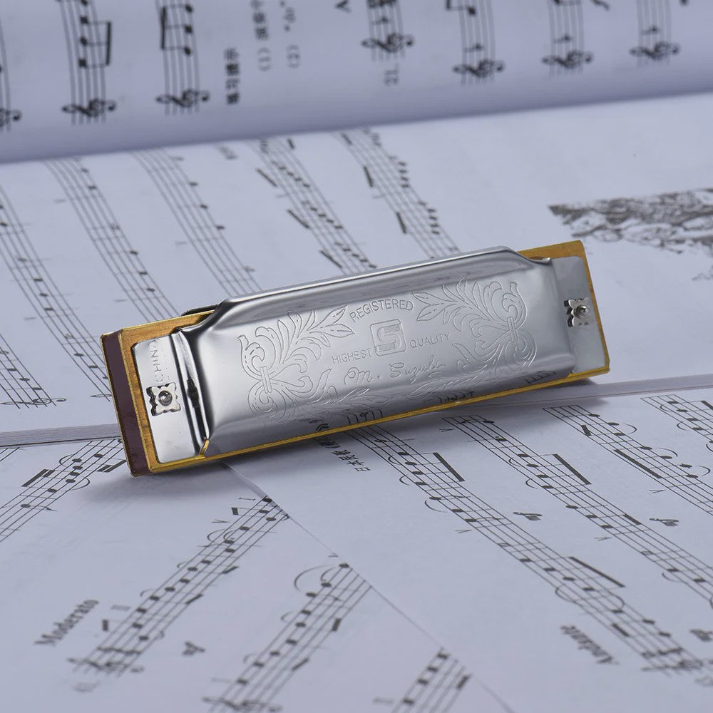 Folkmaster Blues Harmonica - 10 Gaten, 20 Tonen, Diatonisch - Ideaal voor Beginners