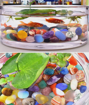 Set Gepolijste Kristalstenen - Multi-Color Tumblestones voor Decoratie & Meditatie