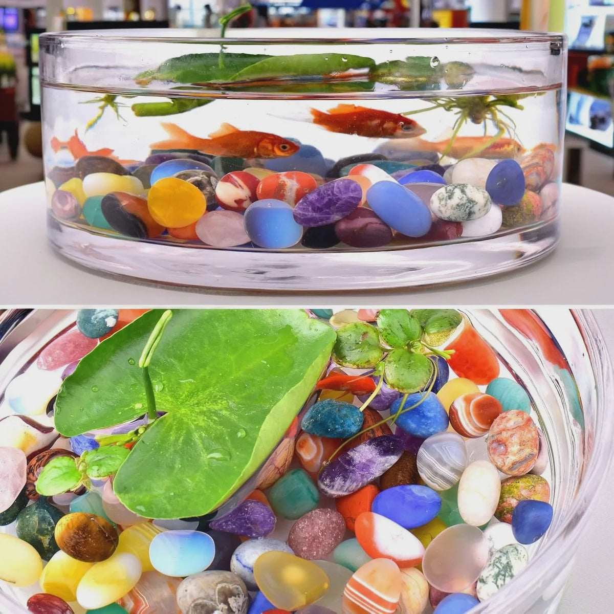 Set Gepolijste Kristalstenen - Multi-Color Tumblestones voor Decoratie & Meditatie