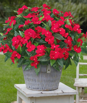 Zijden Balsam Kunstbloemen - Hoge Kwaliteit Decoratie voor Bruiloft, Tafel & Tuin