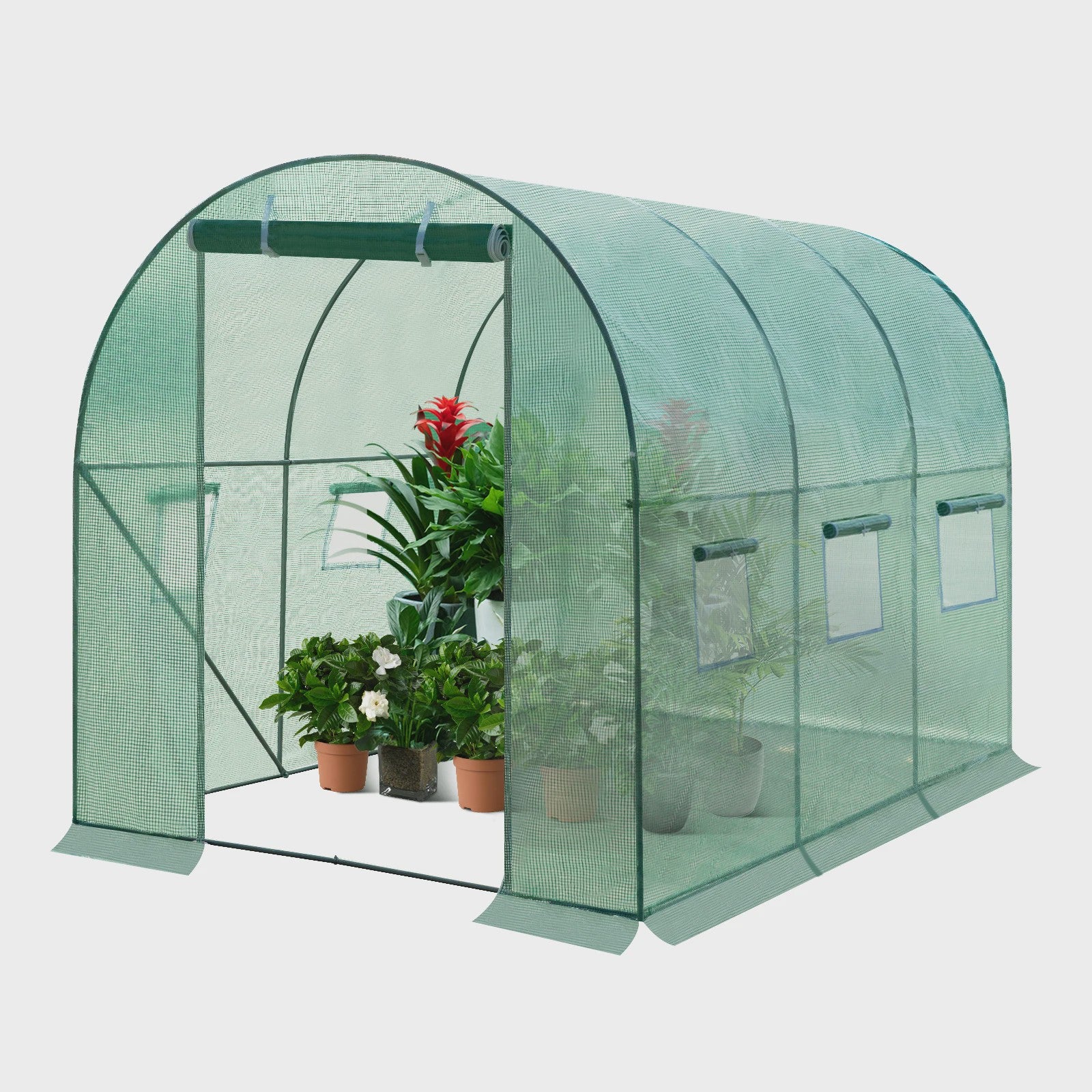 WOLTU Tunnelkas 300x200x200cm - Winterharde Polytunnel voor Groenten, Fruit & Bloemen