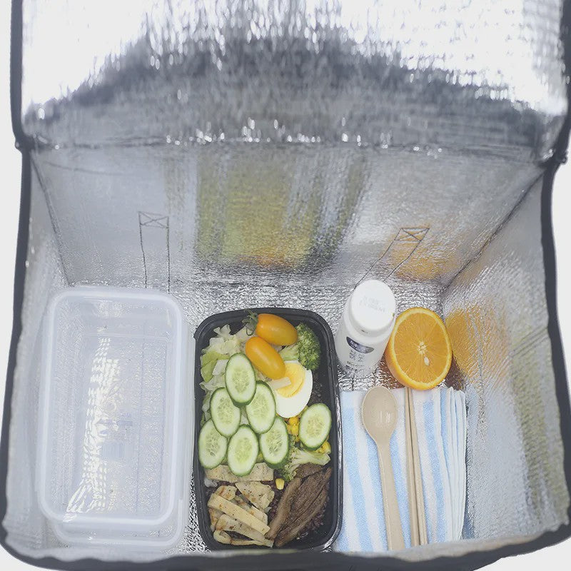 Homefish XL Koeltas 31L - Ideaal voor Lunch, Camping, Picknick & Dranken