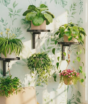 3-in-1 Vogelvoederhuisje, Vogelbad en Plantenhaak - Metalen Wandmontage