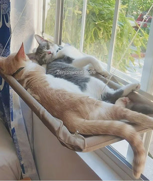 Hangmat voor Katten: Zonovergoten Raamzitje met Sterke Draagkracht
