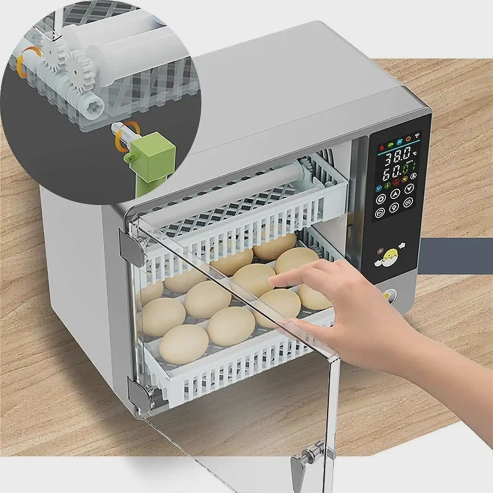 Volautomatische Broedmachine voor 24 Eieren met Lade-Type Automatische Draaier en Touchscreen
