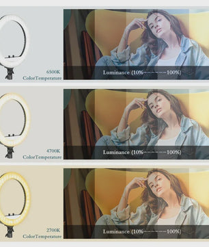 18 Inch Ring Light LED Lamp met Verstelbaar Statief & Telefoonhouder voor YouTube, Foto & Studio